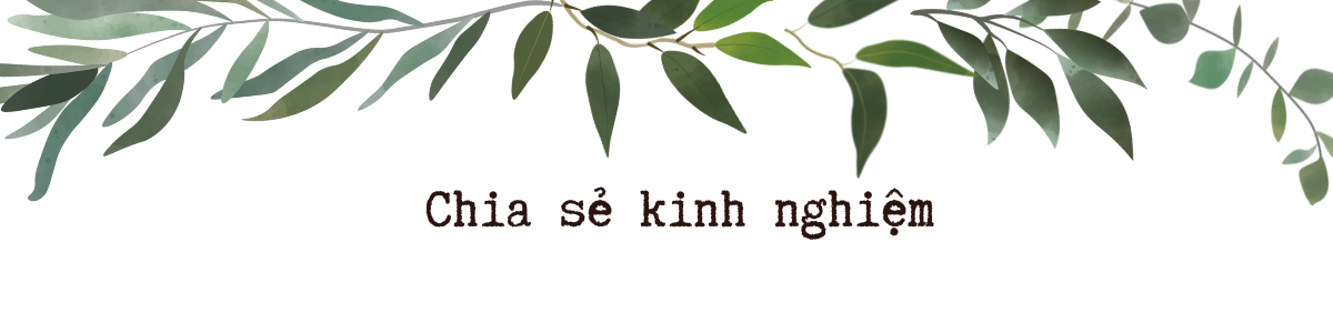 Thêm những chấm xanh cho núi rừng Quảng Trị