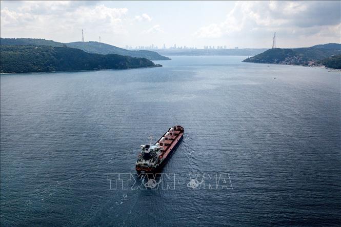 Nga nêu điều kiện gia hạn thỏa thuận Sáng kiến Ngũ cốc Biển Đen