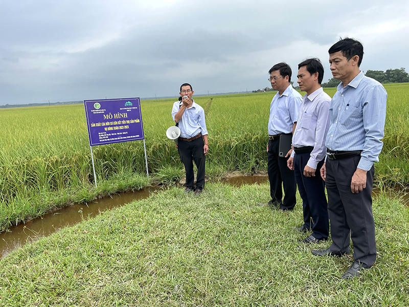 Nét mới trên đồng ruộng Vĩnh Lâm