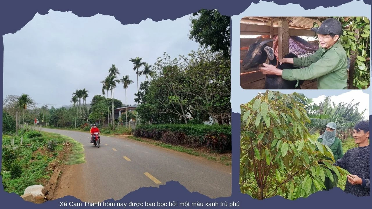 Mối quan hệ hữu nghị, hợp tác Việt Nam - Cuba: Bài 2- Không việc gì, ở Việt Nam mà