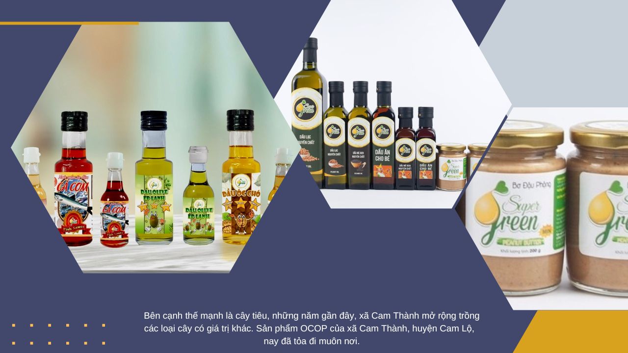 Mối quan hệ hữu nghị, hợp tác Việt Nam - Cuba: Bài 2- Không việc gì, ở Việt Nam mà