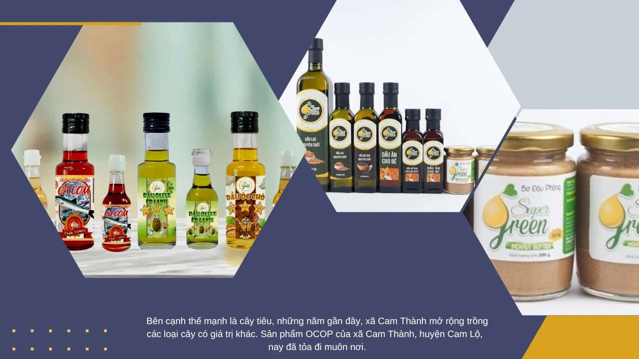 Mối quan hệ hữu nghị, hợp tác Việt Nam - Cuba: Bài 2- Không việc gì, ở Việt Nam mà