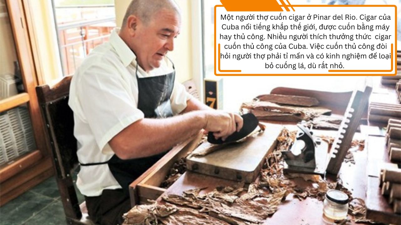 Mối quan hệ hữu nghị, hợp tác Việt Nam - Cuba: Bài 5- Biểu tượng của tự do, hòa bình và lòng nhân ái