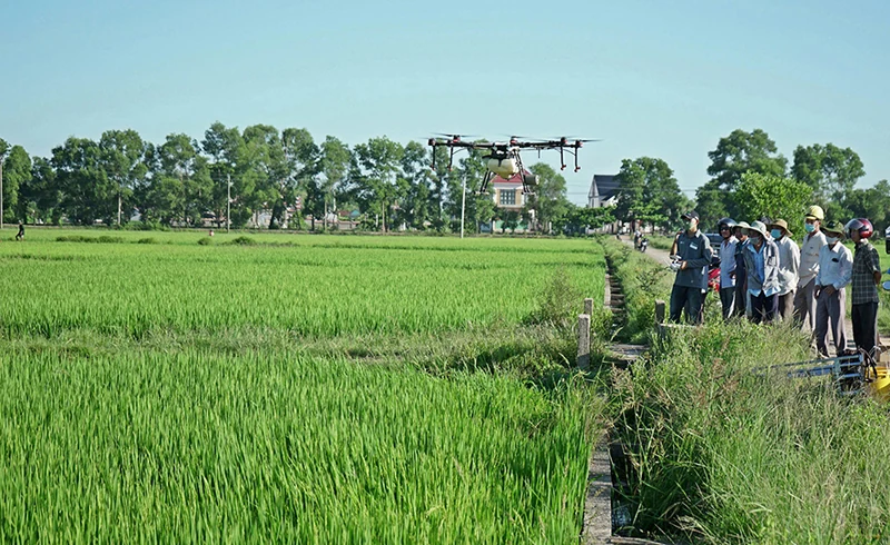 Phát huy vai trò của tổ khuyến nông cộng đồng