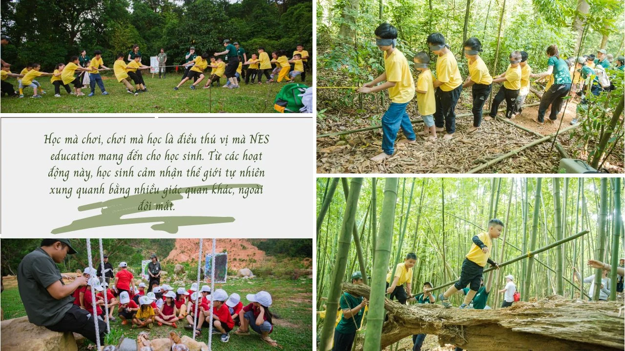 Đưa trẻ đến với rừng