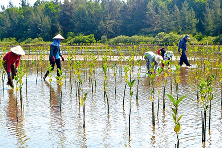 Chủ động ứng phó với biến đổi khí hậu