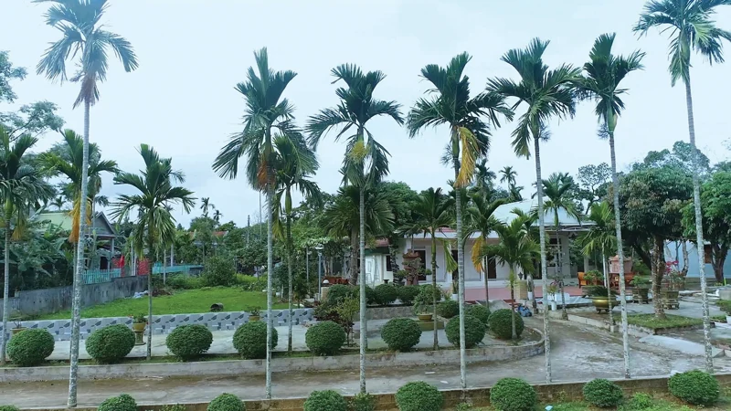 Nông dân Cam Lộ chung sức xây dựng nông thôn mới