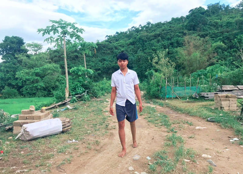 Giúp Vũ đứng lên