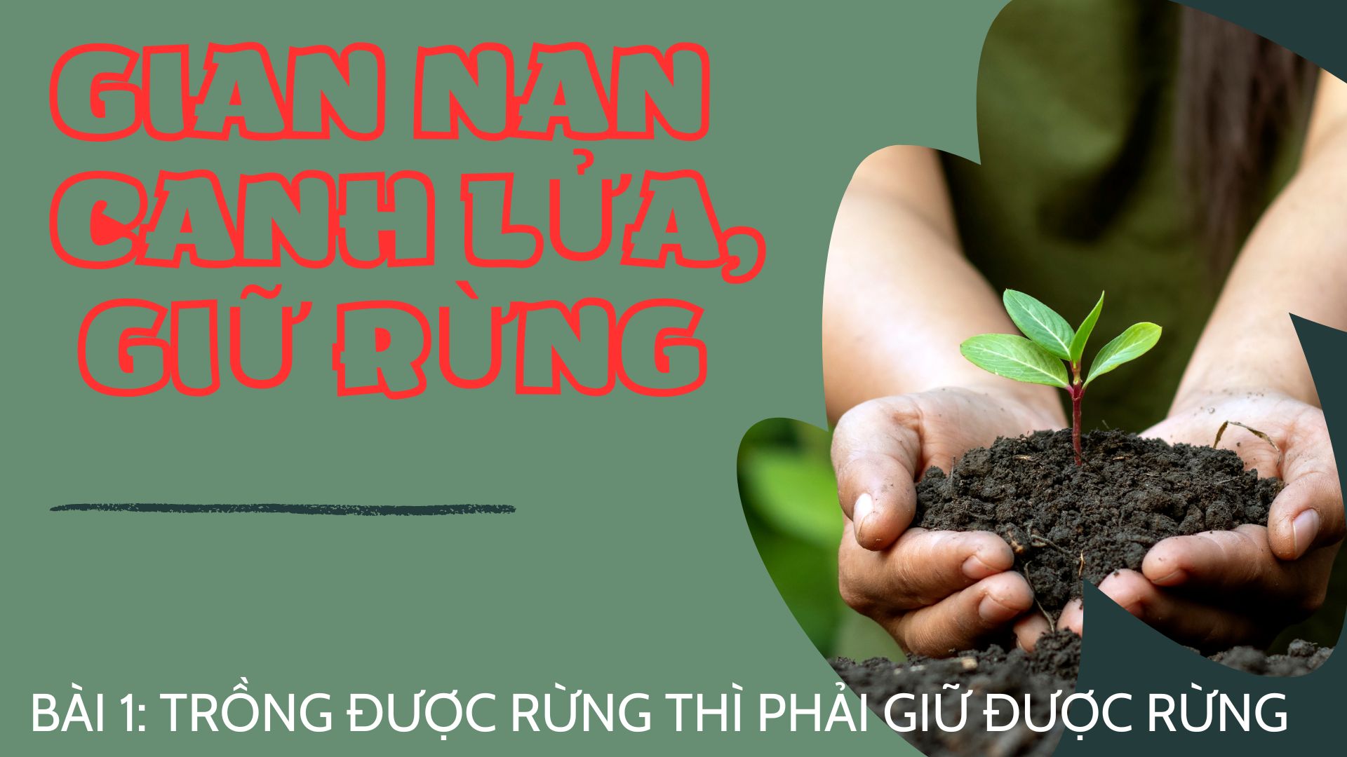 Gian nan canh lửa, giữ rừng. Bài 1: Trồng được rừng thì phải giữ được rừng