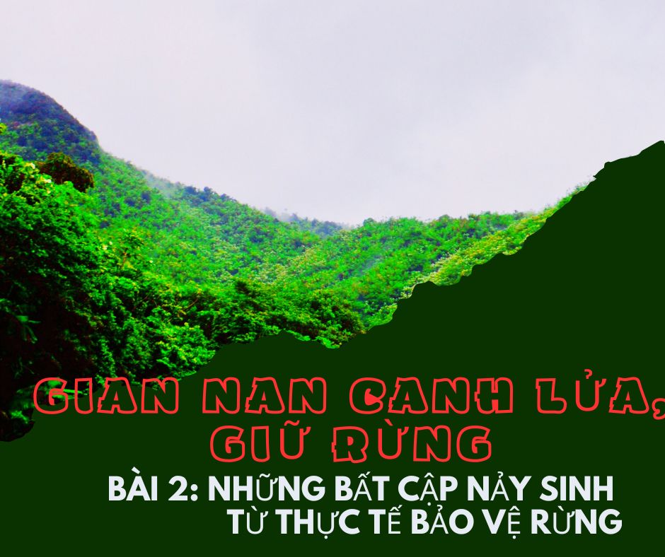 Gian nan canh lửa, giữ rừng. Bài 2: Những bất cập nảy sinh từ thực tế bảo vệ rừng