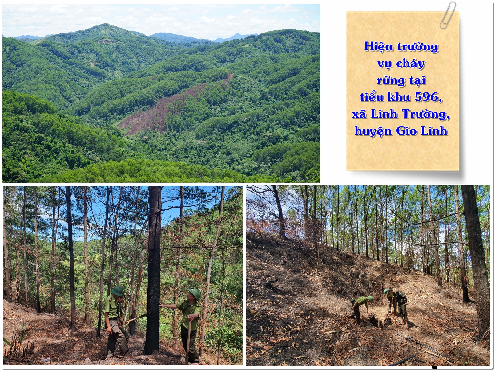 Gian nan canh lửa, giữ rừng. Bài 2: Những bất cập nảy sinh từ thực tế bảo vệ rừng