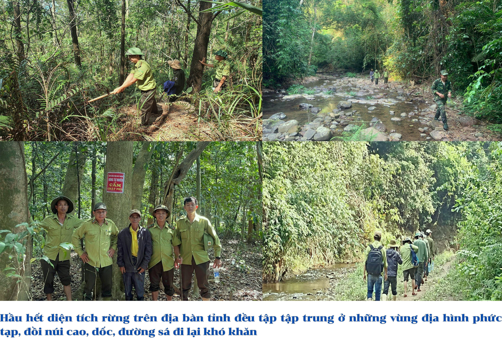 Gian nan canh lửa, giữ rừng. Bài 2: Những bất cập nảy sinh từ thực tế bảo vệ rừng