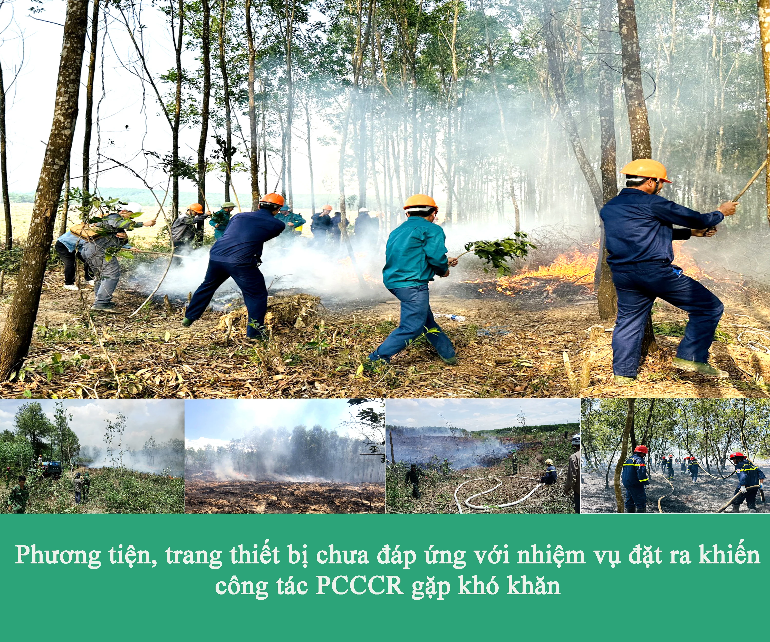 Gian nan canh lửa, giữ rừng. Bài 2: Những bất cập nảy sinh từ thực tế bảo vệ rừng
