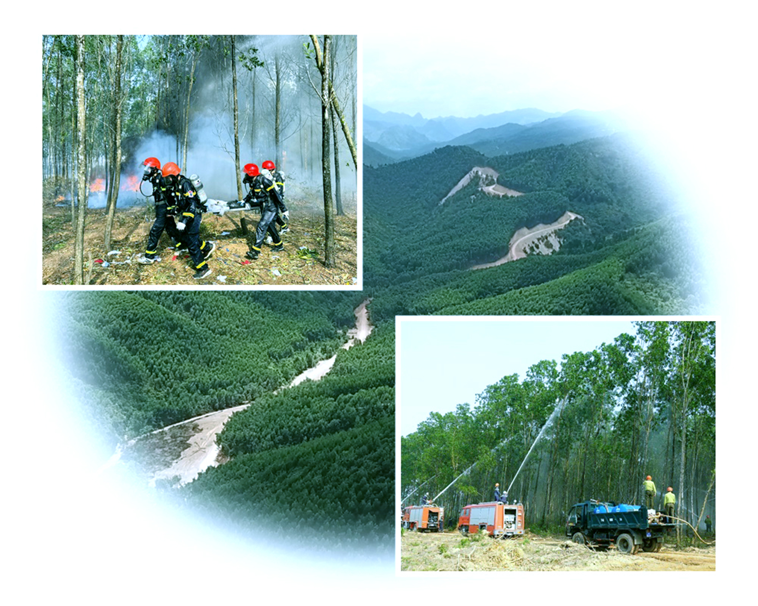 Gian nan canh lửa, giữ rừng. Bài 3: Tăng cường nguồn lực đầu tư để bảo vệ rừng hiệu quả