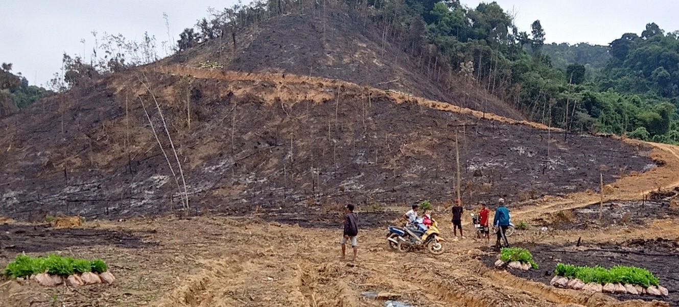 Một gia đình ở xã Linh Trường lấn chiếm 6,32 ha đất rừng phòng hộ nhưng không bị xử lý