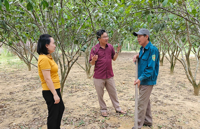 Sự lãnh đạo của Đảng - Nhân tố quyết định trong xây dựng nông thôn mới. Bài 2: “Quả ngọt” từ những chủ trương đúng