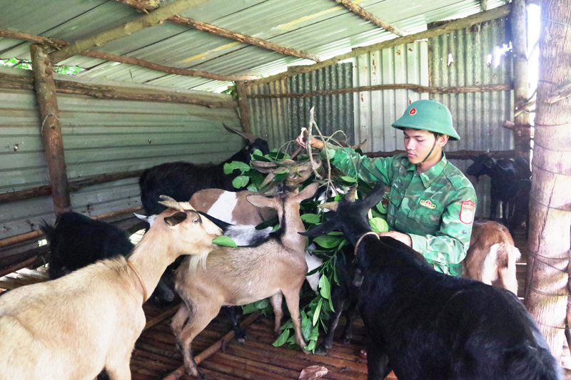 Tiến tới đảm bảo nguồn thực phẩm tại chỗ ở các đồn biên phòng
