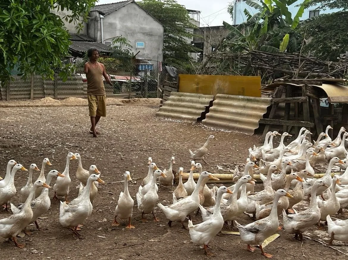 Vietnam-Cuba Relations: Rekindling beautiful stories
