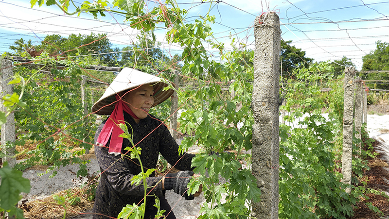 Chi hội trưởng phụ nữ làm kinh tế giỏi