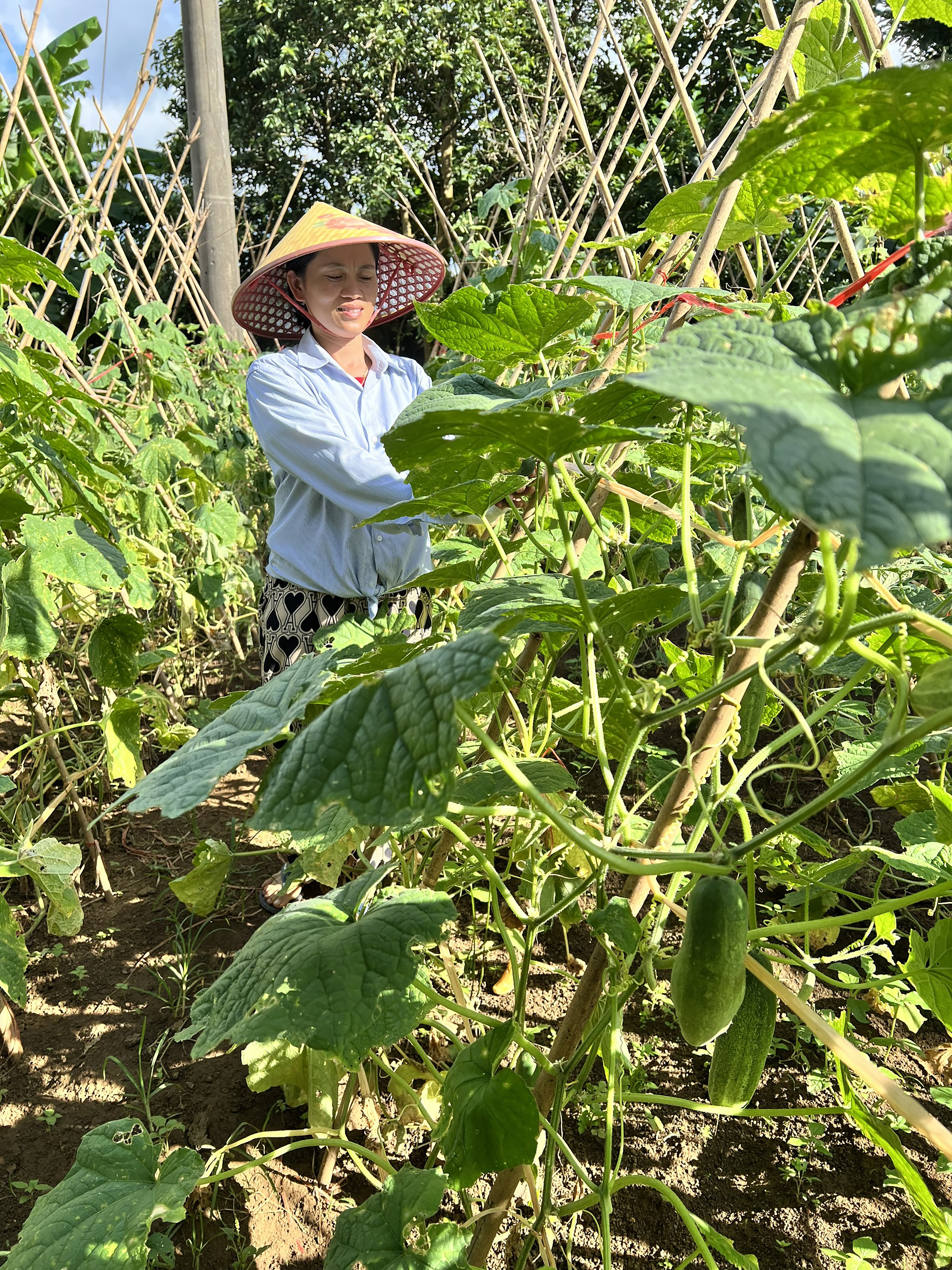 Sẻ chia kinh nghiệm từ việc học nghề