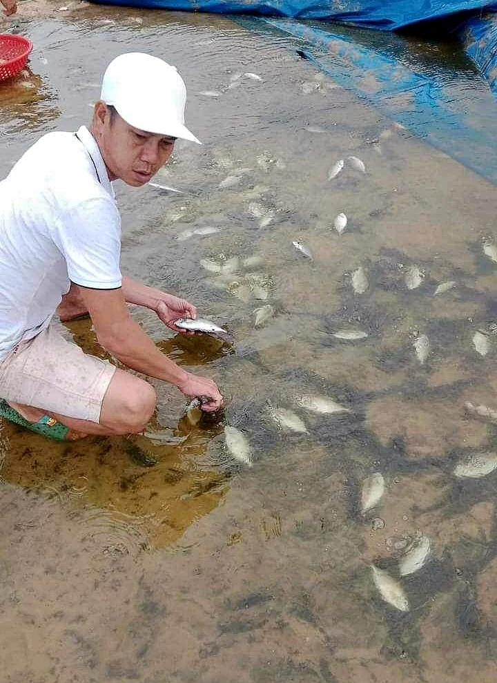 Hải Lăng: Một ao nuôi cá trên cát bị vỡ do mưa lớn, thiệt hại khoảng 350 triệu đồng