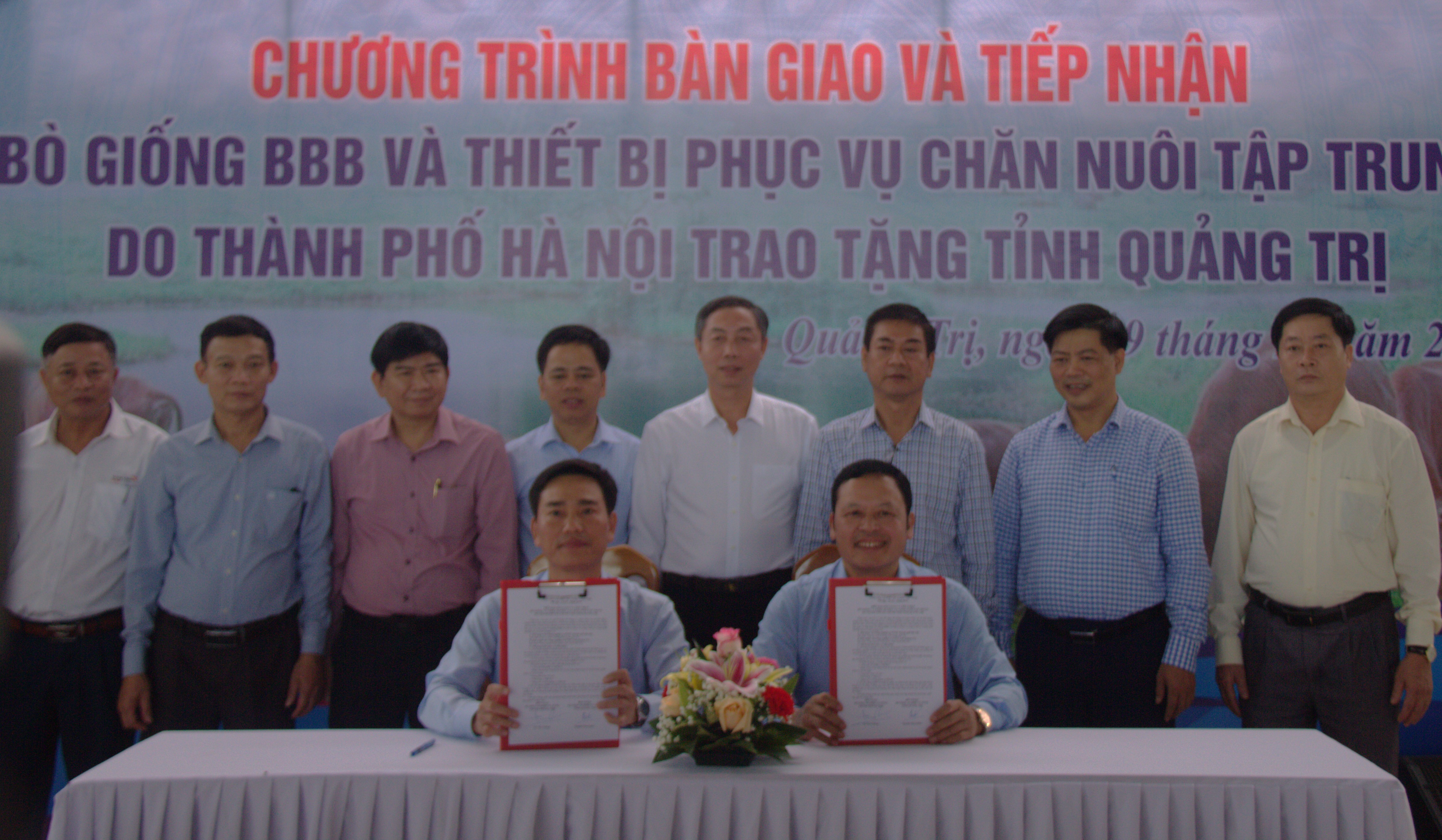 TP. Hà Nội tặng tỉnh Quảng Trị 100 con bò giống BBB