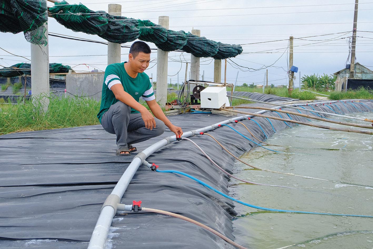 Kỹ sư môi trường bỏ phố về quê nuôi tôm