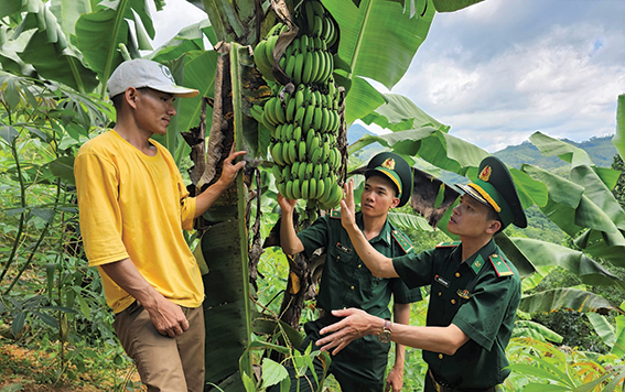 Mang những mùa vàng ấm no cho dân bản