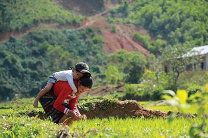 Phóng sự ảnh: Hương lúa và mùa Xuân ở miền Tây Quảng Trị