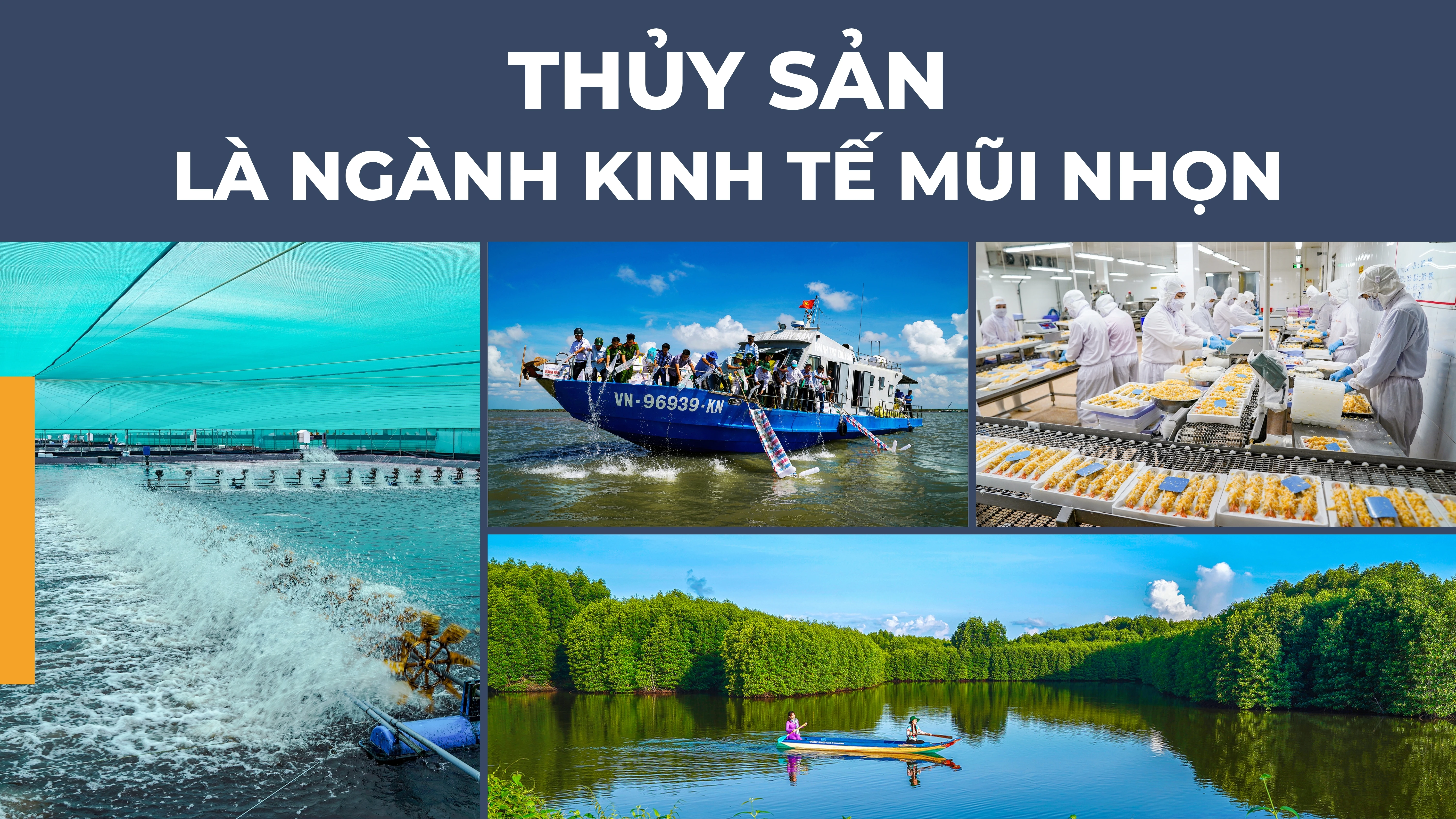 Tầm nhìn mới, kỳ vọng mới