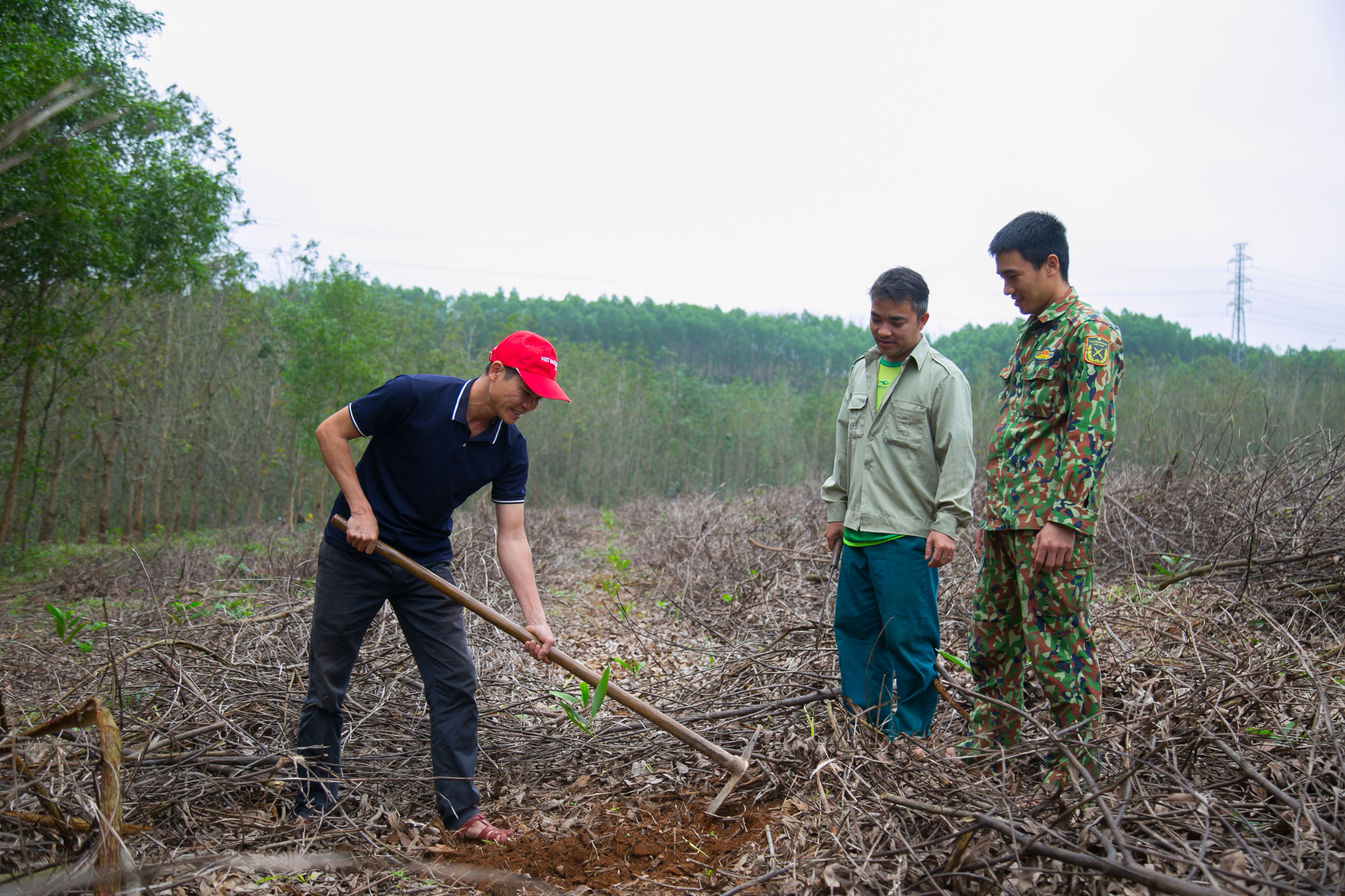 Người “trả nợ” rừng