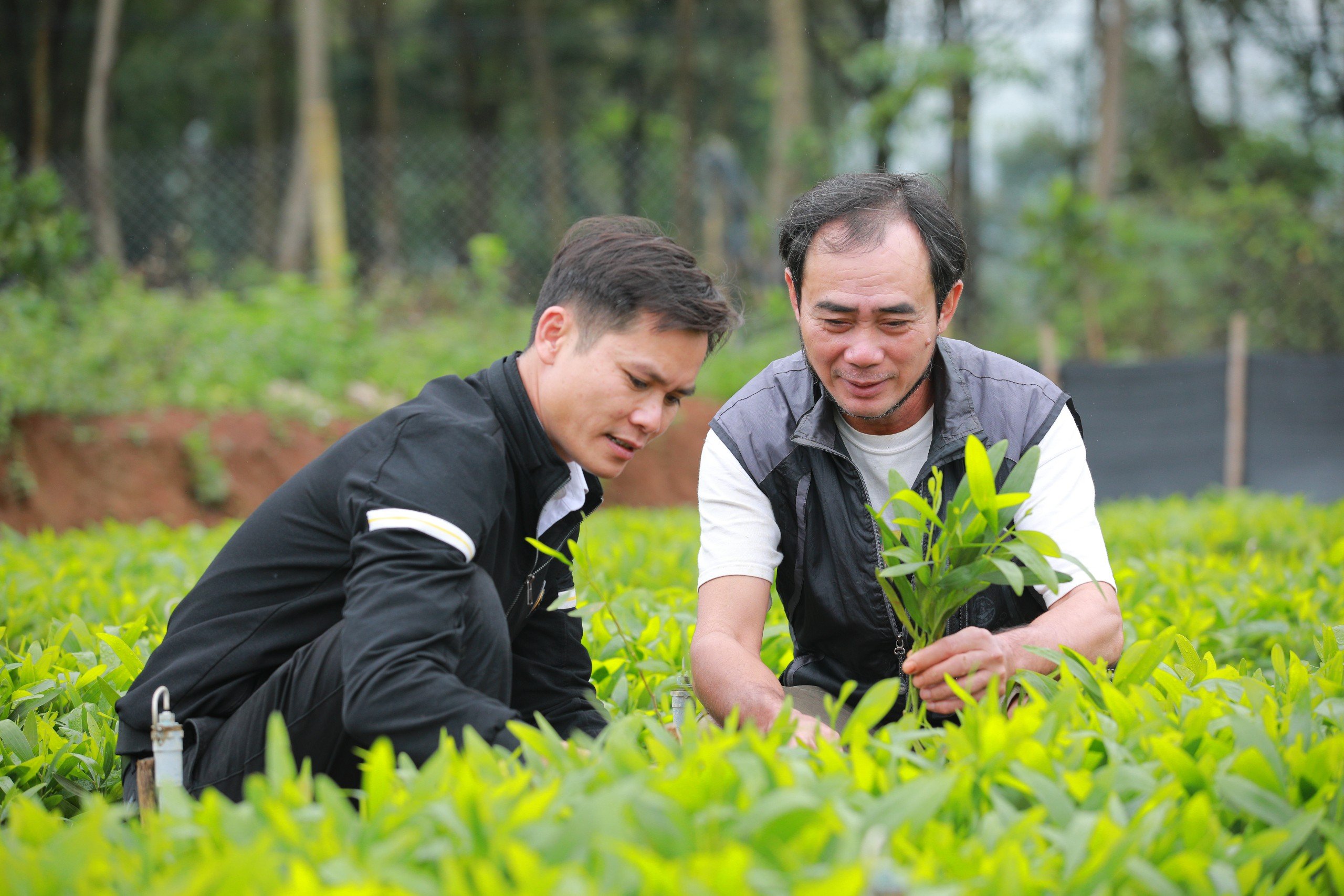 Người “trả nợ” rừng