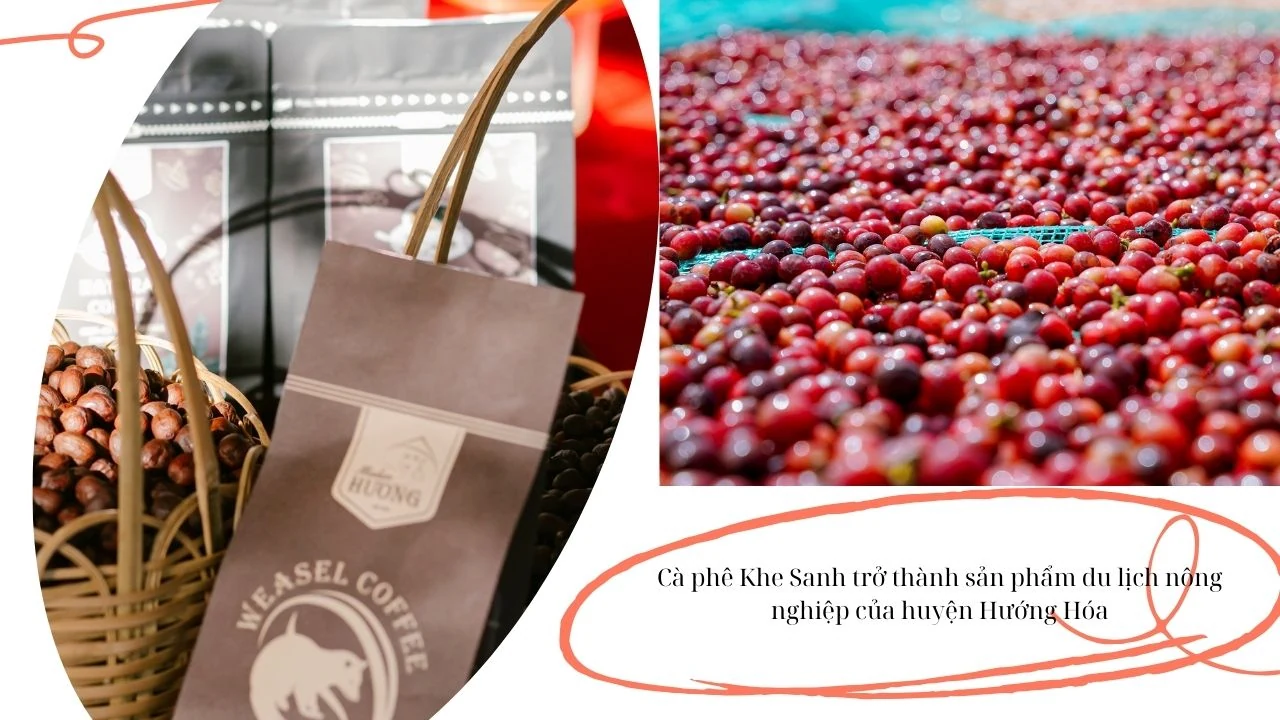 Cà phê Khe Sanh, bắc nhịp cầu kết nối