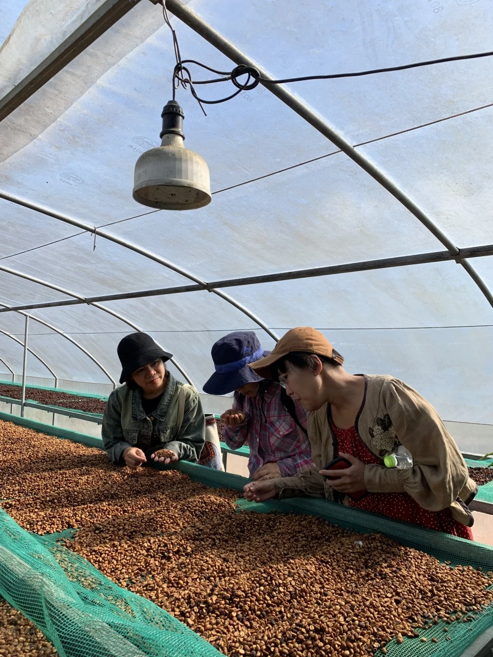 Khe Sanh’s coffee, connecting people to Quang Tri Province