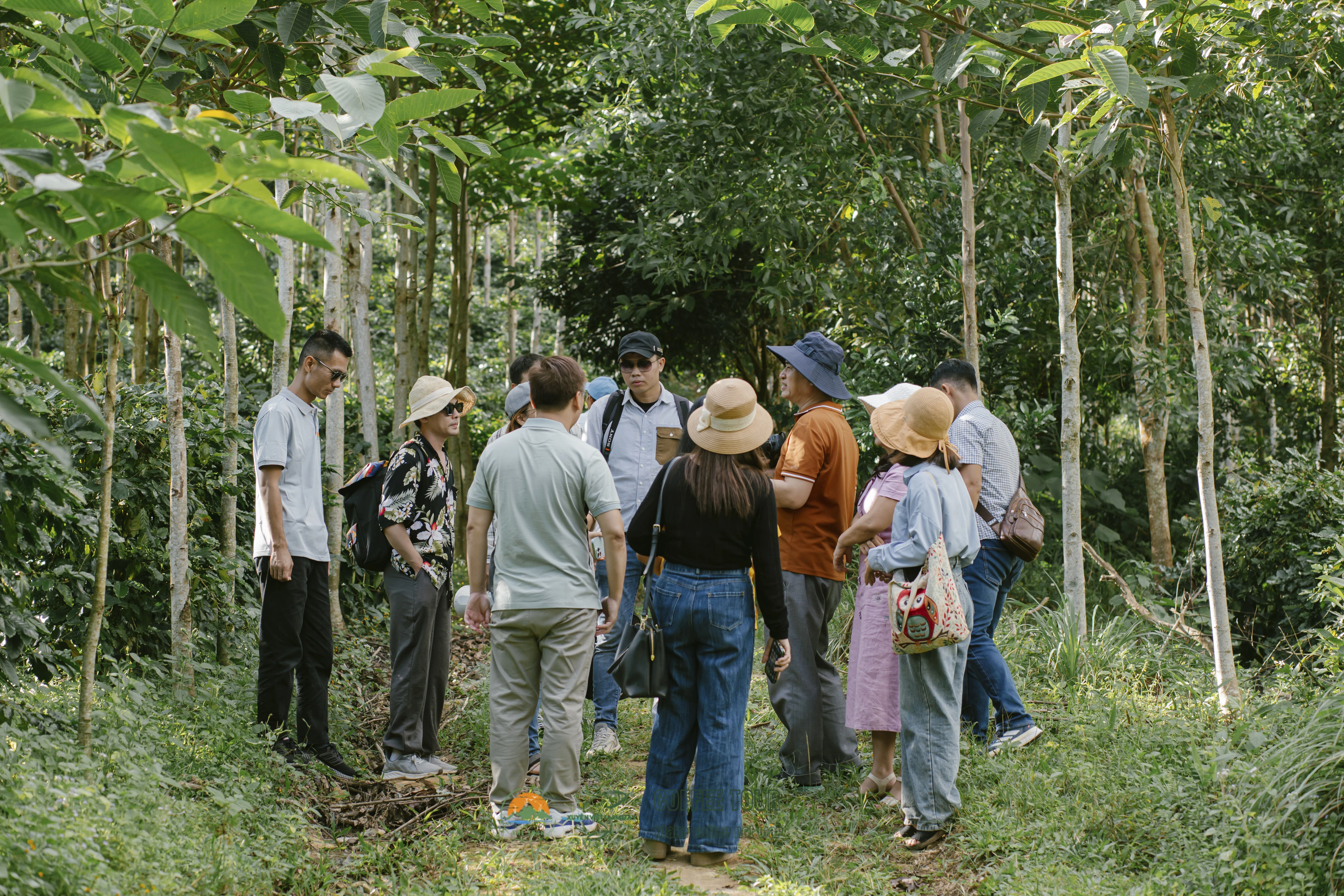 Khe Sanh’s coffee, connecting people to Quang Tri Province