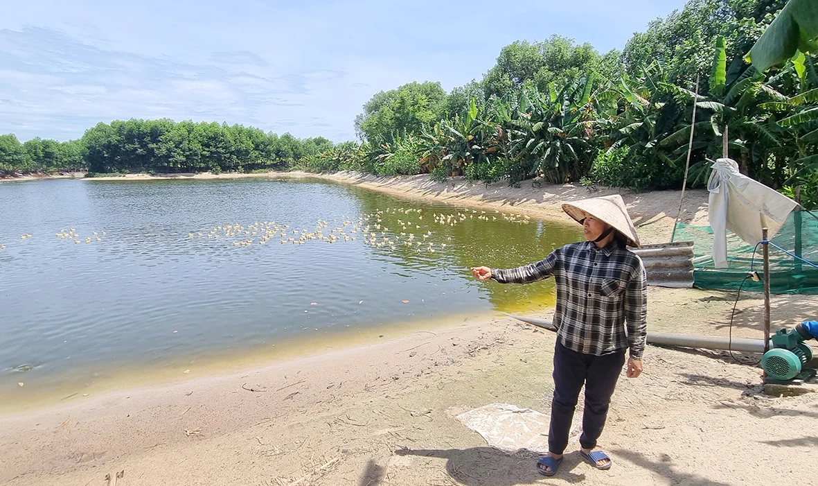 Biến vùng đất cát bạc màu thành khu vườn trù phú