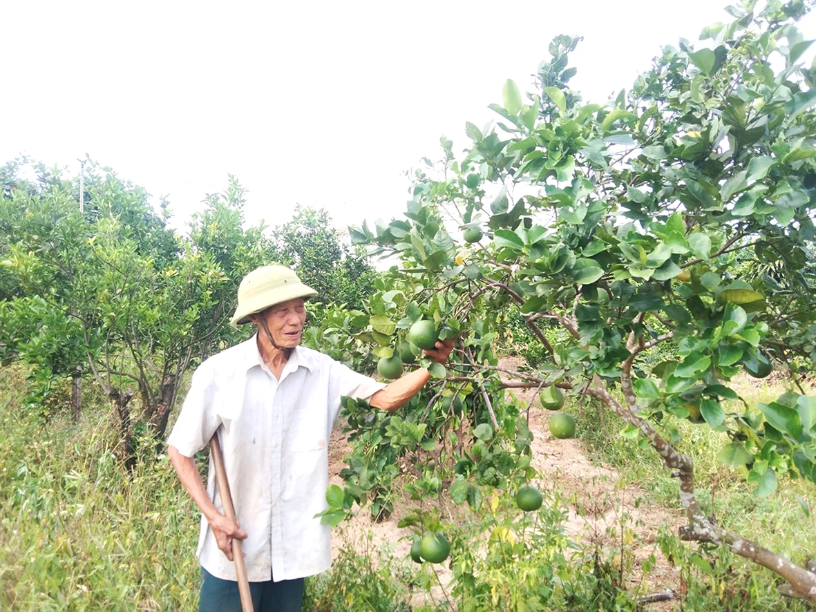 Về miền giới tuyến. Bài 3: Xây “lũy hoa” trên vùng đất thép anh hùng