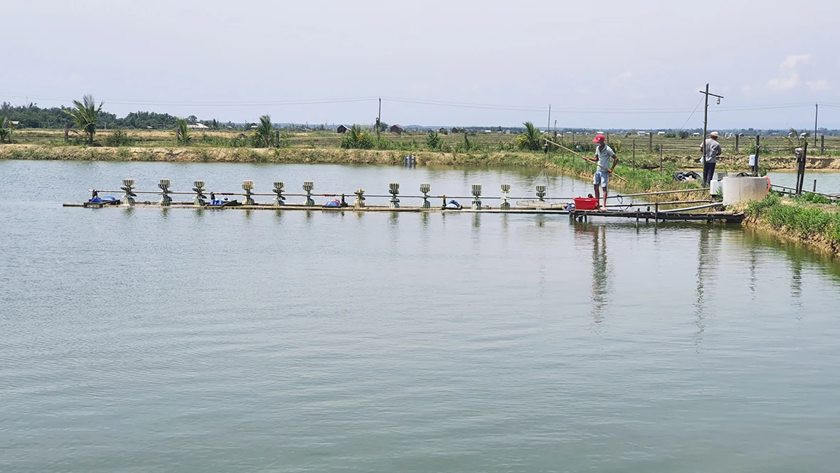 Về miền giới tuyến. Bài 3: Xây “lũy hoa” trên vùng đất thép anh hùng