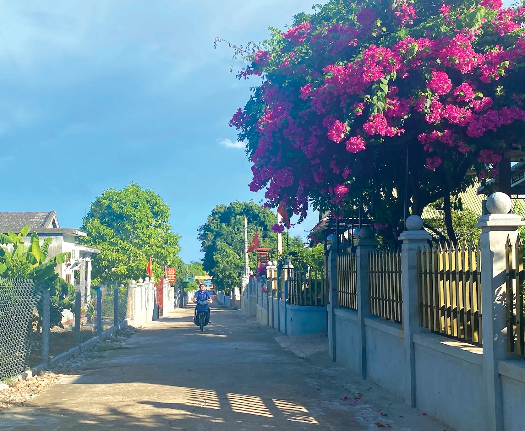 Những điển hình cán bộ mặt trận, khu dân cư tiêu biểu