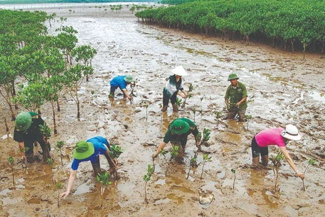 Chủ động ứng phó với biến đổi khí hậu, tăng cường quản lý tài nguyên, bảo vệ môi trường