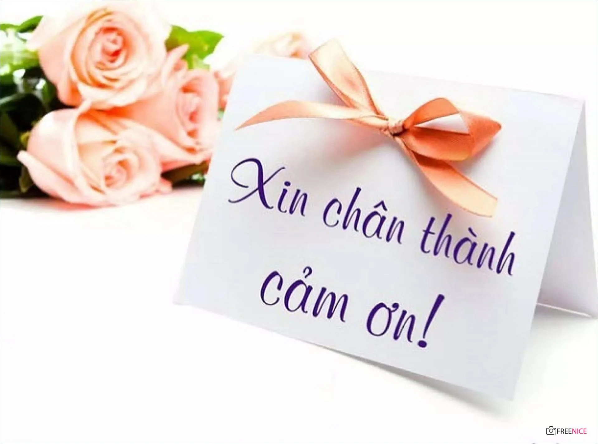 Lời cảm ơn của Ban liên lạc Cựu chiến binh Tiểu đoàn 45