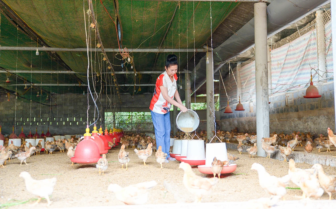 Lồng ghép các nguồn lực để giảm nghèo vùng đồng bào dân tộc thiểu số