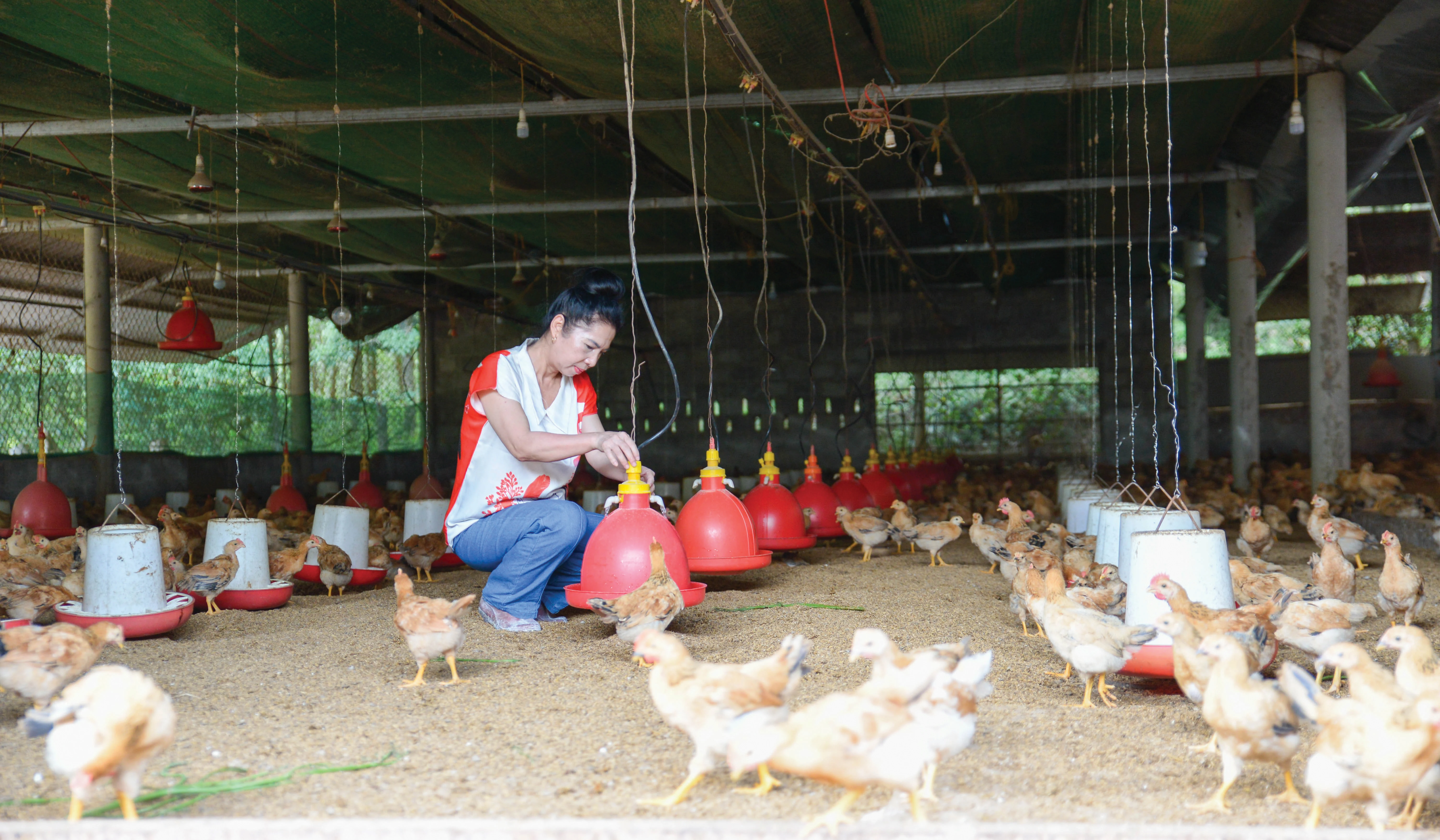 Hành trình xây dựng nông thôn mới của 3 xã miền núi huyện Vĩnh Linh