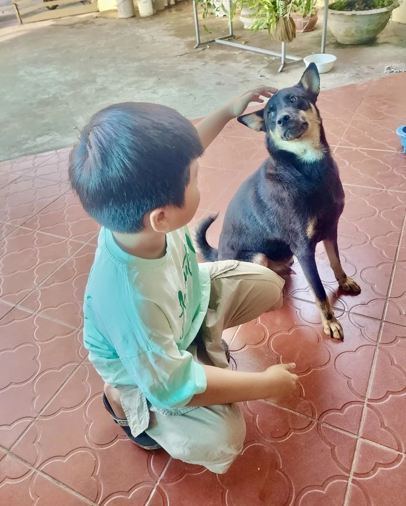 Phòng chống lây nhiễm ký sinh trùng từ vật nuôi