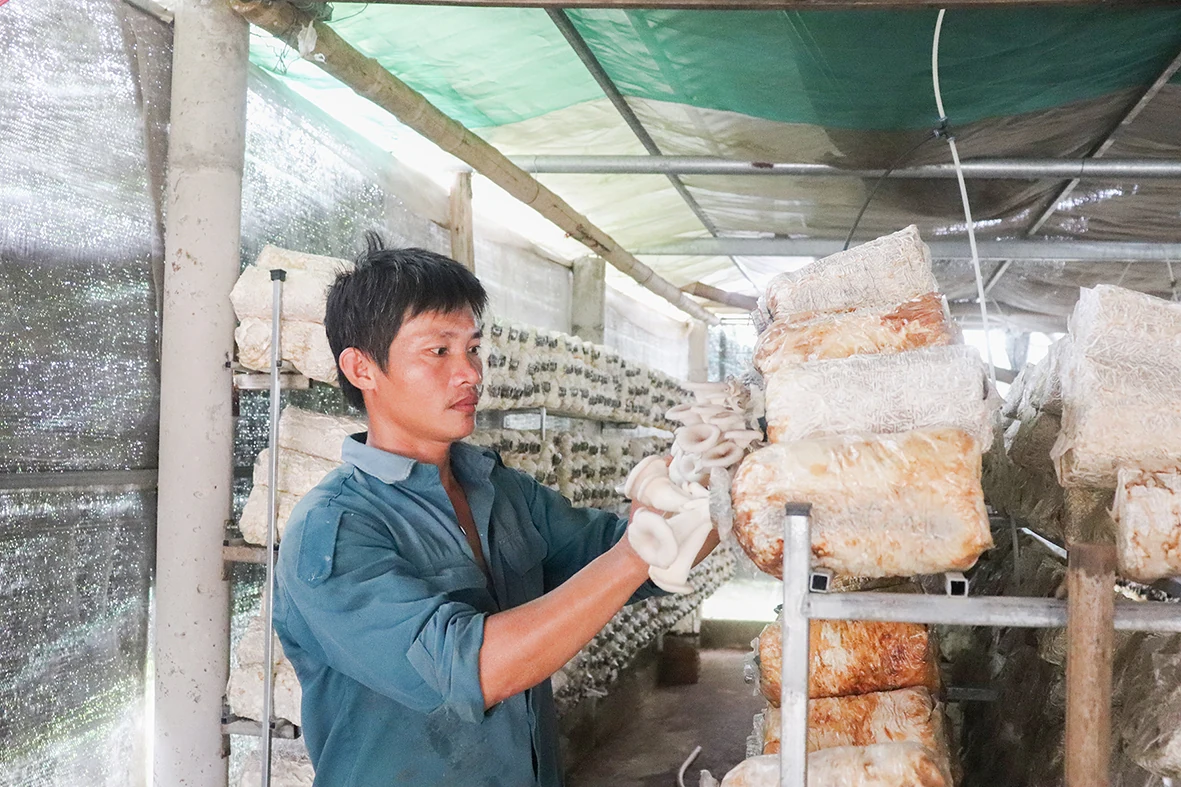 Hiệu quả từ phong trào “Làm giàu cho mình, làm giàu cho quê hương”