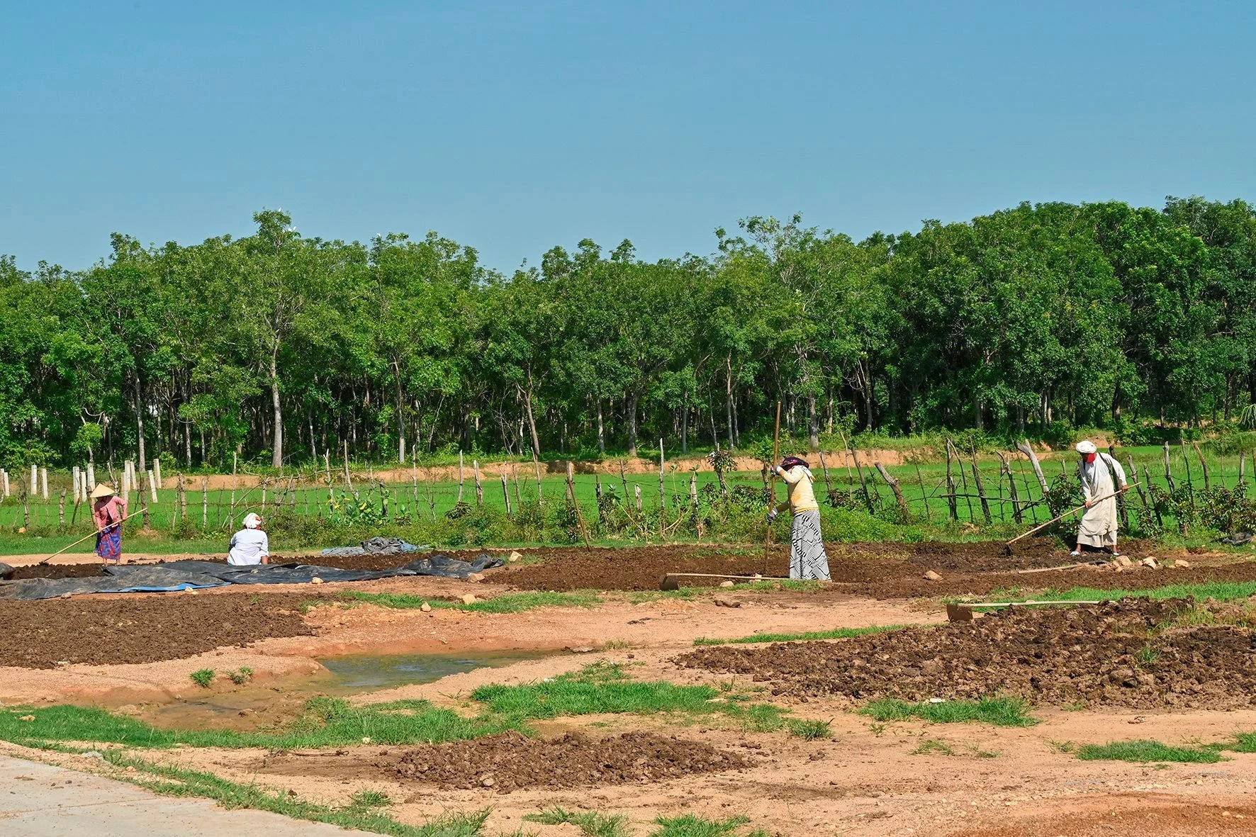 Đakrông: Không còn quỹ đất để hỗ trợ đất ở, đất sản xuất cho người dân