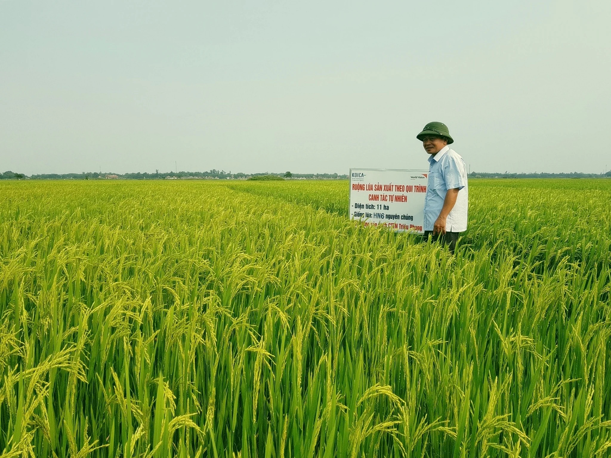 Chưa có bước đột phá để nhân rộng các mô hình nông nghiệp hữu cơ, công nghệ cao