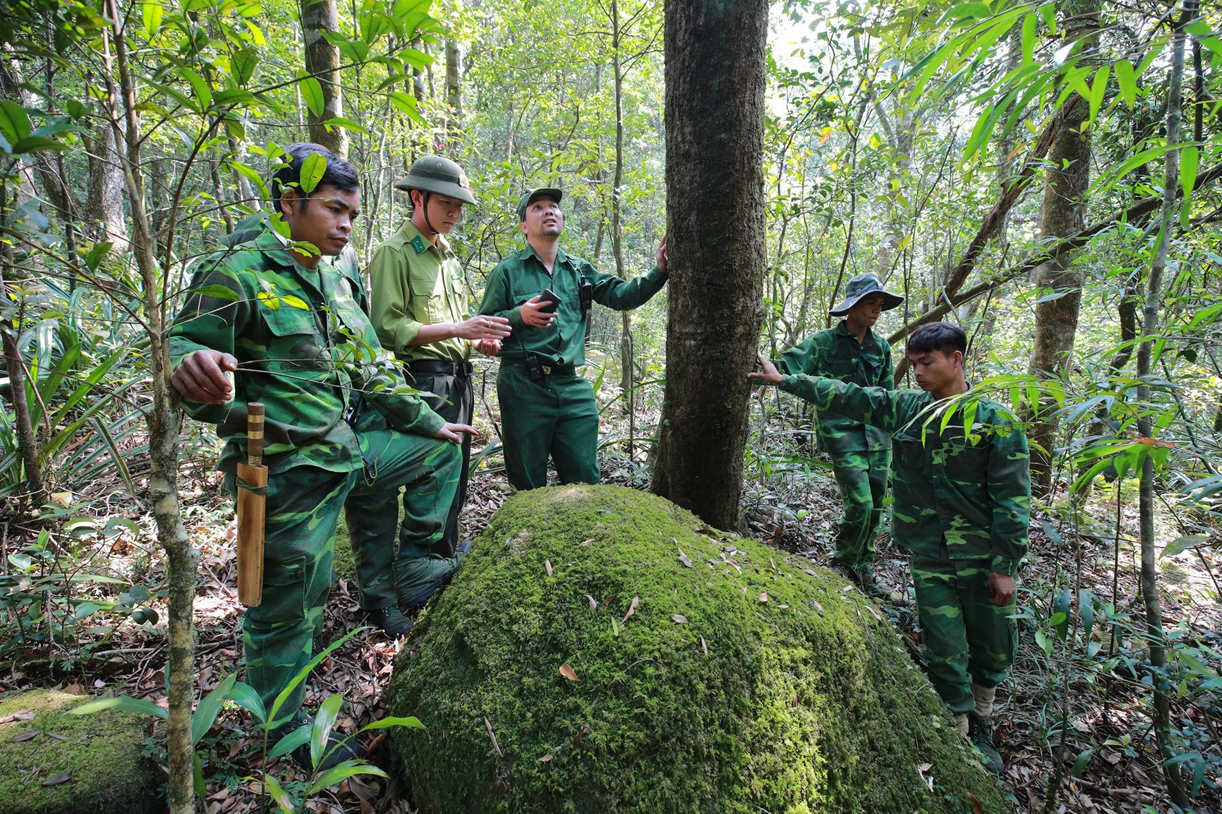 Đẩy mạnh cải cách hành chính để bảo vệ rừng tốt hơn