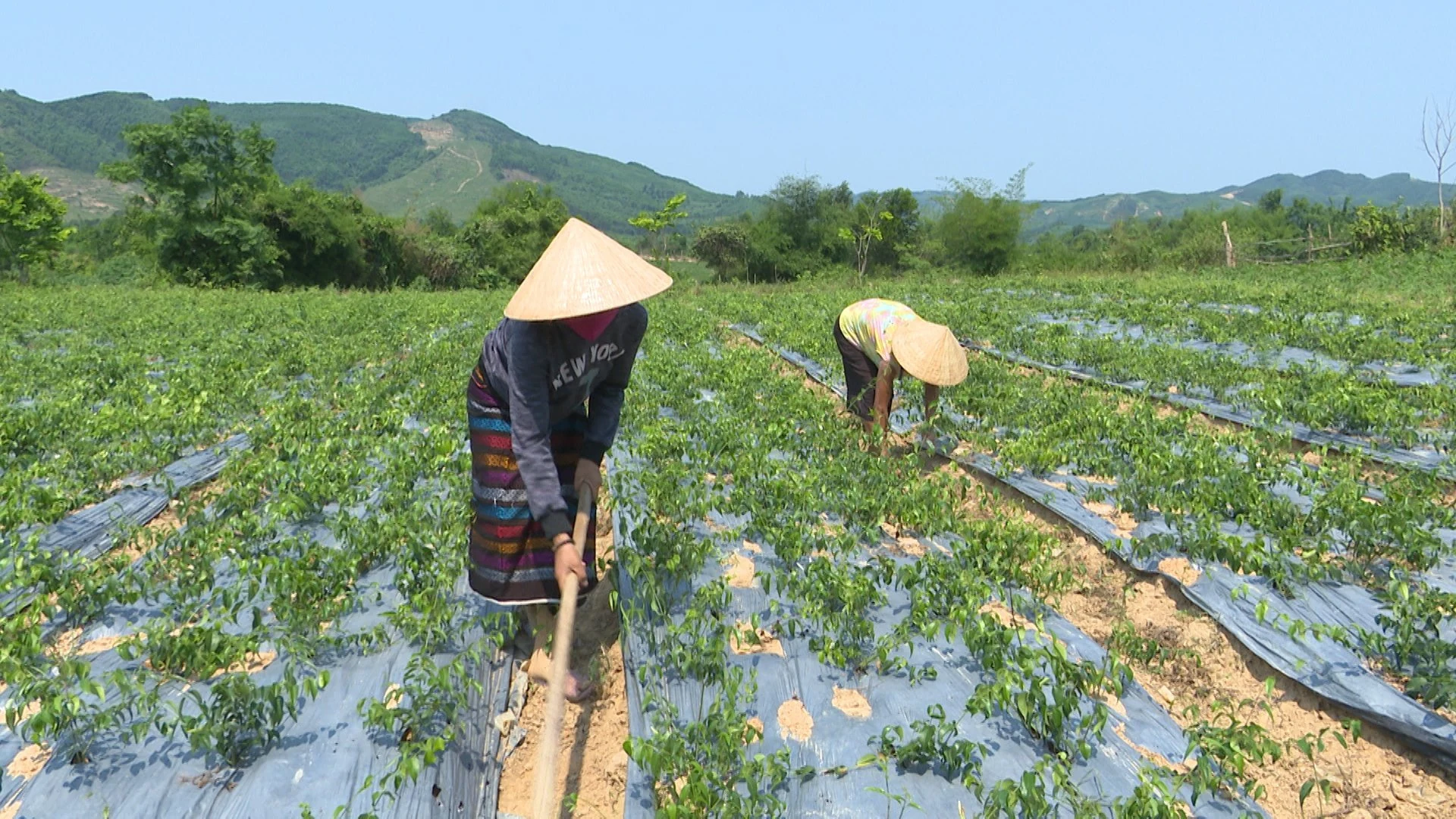 Bước qua khuôn mẫu giới để làm chủ cuộc sống