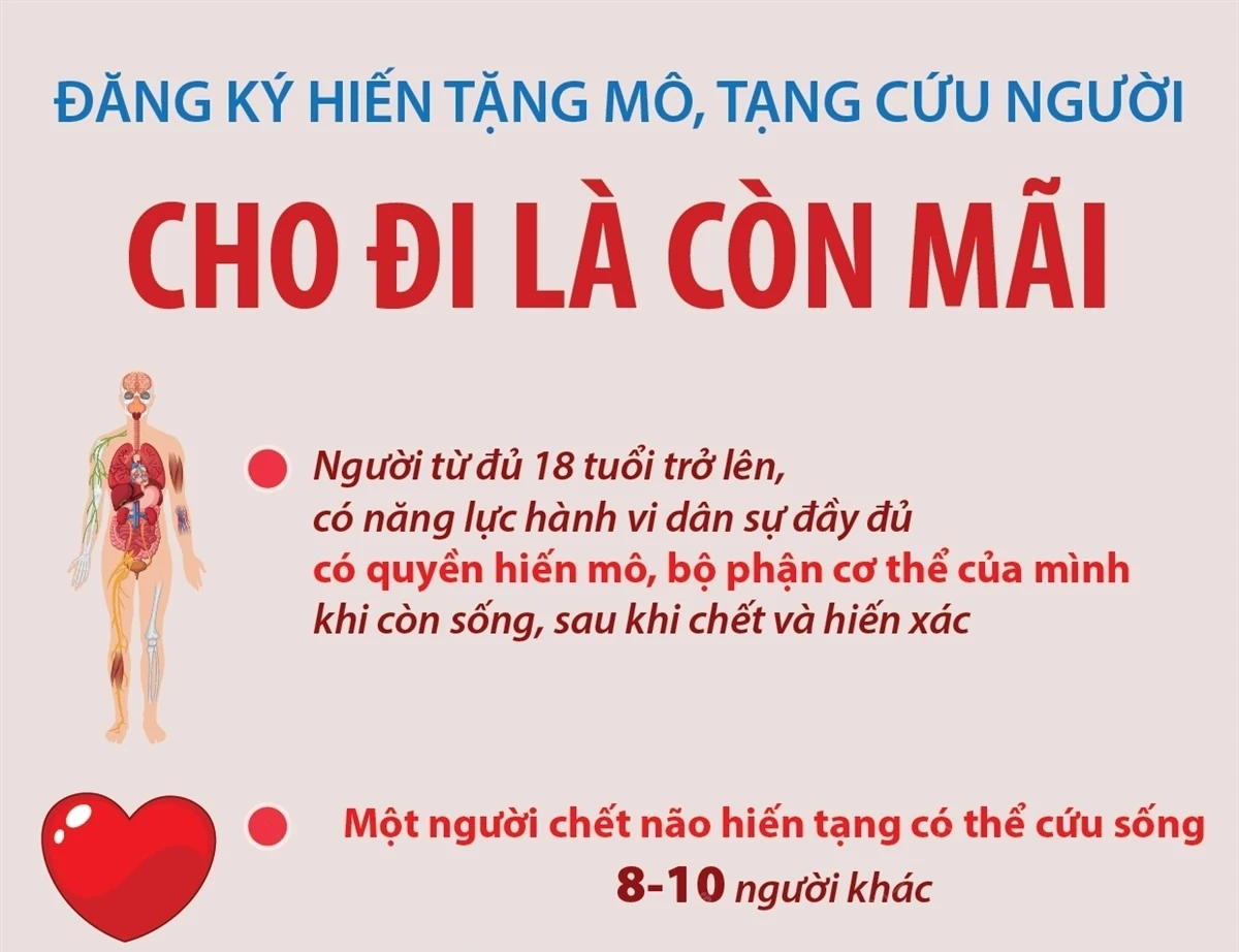 Gieo mầm sự sống...